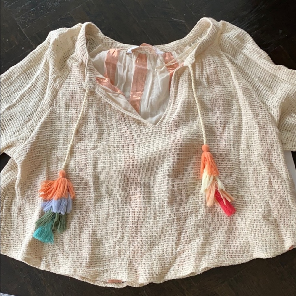 Zara crochet top